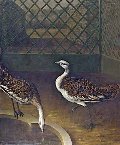И.Ф.Гроот. Две птицы. 1750-е годы. Холст, масло. ГМЗ «Царское Село»
