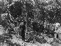 Торжественное открытие памятника А.П.Чехову работы Н.фон Шлейффера (бронза). Баденвейлер. 25 июля 1908 года